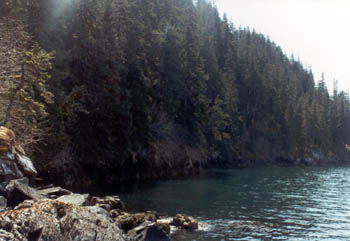 Alaska Oceanfront Property for Sale