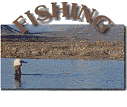 Alaska Fishing Information